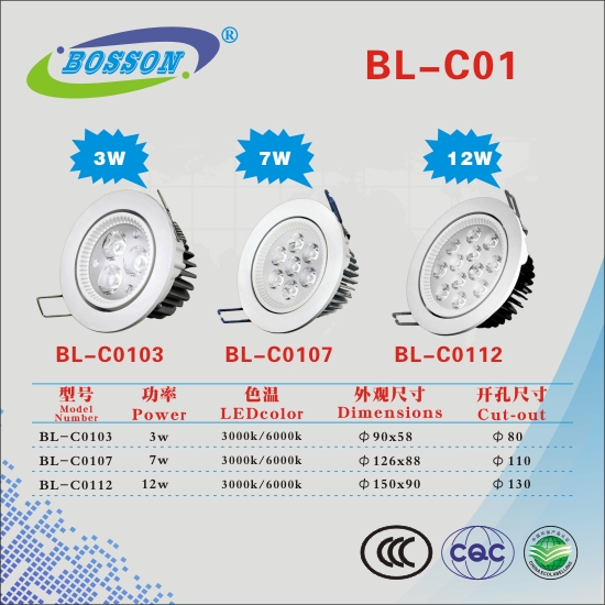 BL-C01 Ceiling Light Series